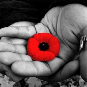 Meet your Posher, Keri